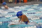 Swimming & Diving vs Babson  Swimming & Diving vs Babson College. - Photo by Keith Nordstrom : Wheaton, Swimming